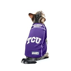 Littlearth Unisex-Adult NCAA TCU Horned Frogs Basic