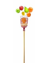 Bond 9164 cesta Frutas Harvester con mango de madera de metal & 8 foot Mango de madera