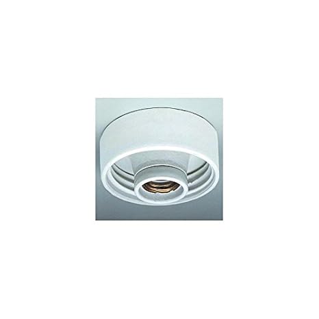 Unbekannt Electrolux plast Aplique 3375 Techo Grifo Porcelana E27 60 W Recto 3375: Amazon.es: Electrónica