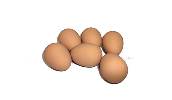 HUEVOS FALSOS GOMA: Amazon.es: Jardín