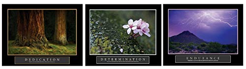 Motivational Inspirational 22" x 28" Self Positive Poster Quotes for
Office Art, Home, Room, Hall, Wall Decor - 3 Pack, (Dedication,
Determination, Endurance)