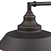 Westinghouse 6343500 Indoor Wall Fixture, 1-Light Sconce, Oil Rubbed Bronze - White Interior