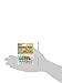 Darice 2306-15 Timeless Miniature Wine Bottles 6 Piece,Multicolor