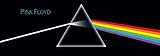 LPGI Pink Floyd Fabric Door Poster, 20.5 by 58-Inch, Dark Side of The Moon