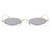 Gamt Vintage Oval Sunglasses for Women and Men Small Metal Frame Candy Colors Grey