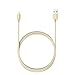 Anker 6ft Nylon Braided USB Cable with Lightning Connector [Apple MFi Certified] for iPhone X / 8 / 8 Plus / 7 / 7 Plus / 6 / 6 Plus / 5s, iPad Pro Air 2 and More (Golden)