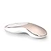 2.4GHz Wireless Mouse Silent Click Compact Soundless Optical Mice with Nano USB Receiver DPI 1600 for PC and Mac (Golden)