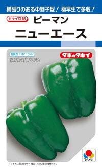 Amazon タキイ種苗 ピーマン ニューエース 小袋 野菜