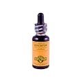 Herb Pharm - Feverfew Extract - 1 oz.