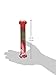 Nylabone Flavor Frenzy Giant Holiday Chew, Prime Rib and Sweet Potato Flavored Bone Dog Chew Toy