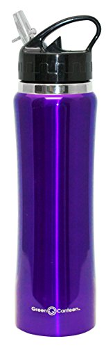 Green Canteen DWVB-125-PR Double Wall Stainless Steel Vacuum Bottle, 25 oz, Purple