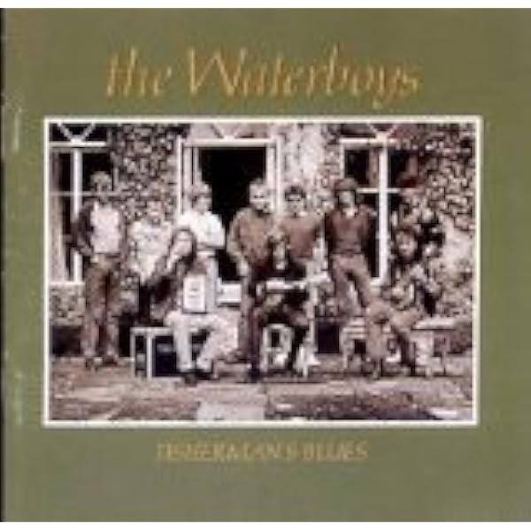 fisherman's blues LP - Amazon.com Music