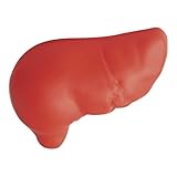 Liver Stress Toy