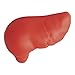 Liver Stress Toy