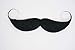 Mustaches Self Adhesive Fake Mustache, Novelty, Capt' Hook False Facial Hair, Costume Accessory for Adults, Black Color