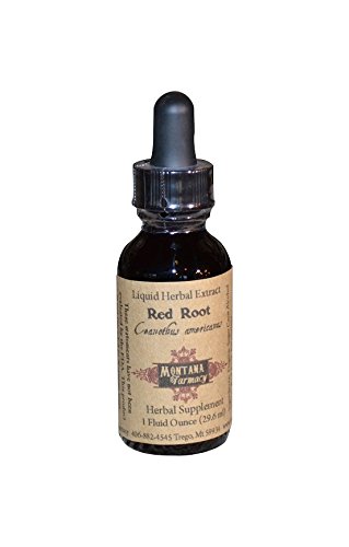 Red Root Natural Extract Tincture Red Root Natural Extract Tincture