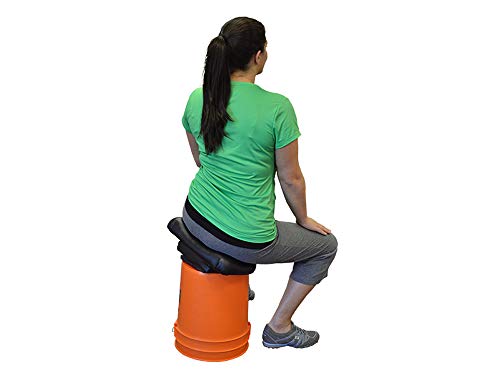 Pettibon System Portable Wobble Chair for Back Pain Relief ...
