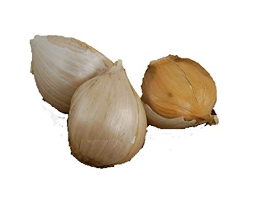 1 +Pound Fresh Elephant Garlic - Large - Soft-neck Cloves (Allium Sativum Var. Sativum)