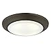 Westinghouse Lighting 6322800 Large LED Indoor/Outdoor Dimmable Surface Mount Wet Location, Oil Rubbed Bronze Finish with Frosted Lens