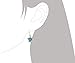 Sterling Silver Synthetic Blue Opal Turtle Dangle Earrings