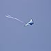 Moon Glow Sports Delta Kite for Kids and Adults, Large, 60