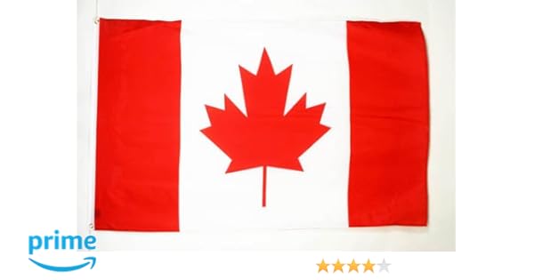 Newfoundland And Labrador Flag Canada Flag Garden Flag Banner Yard