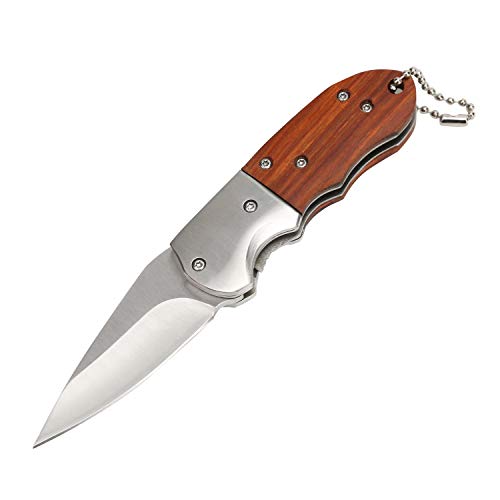 Folding Small Pocket Knife 3 inch Blade Frame Lock Outdoor Mini Pocket