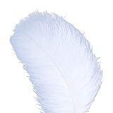 AWAYTR 20-22 inch(50-55cm) Ostrich Feathers Plume for Centerpieces Home Decoration (10pcs, White-Big Large stem Feather