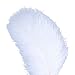 AWAYTR 20-22 inch(50-55cm) Ostrich Feathers Plume for Centerpieces Home Decoration (10pcs, White-Big Large stem Feather