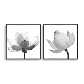 2 Piece Framed Home Artwork Transparent Flower for...