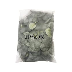 JPSOR 5 Pack Artificial Eucalyptus Garland Greenery