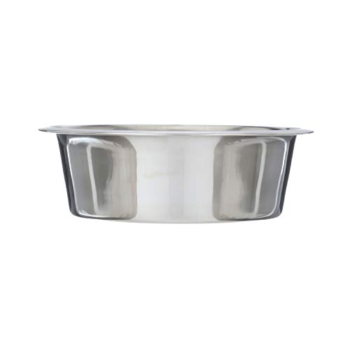 Neater Pet Brands Slow Feed Bowl Stainless Steel Large Size Fits