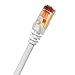 Ultra Clarity Cables Cat 8 Ethernet Cable 10 FT, High Speed 40 Gbps 2000Mhz Internet LAN Cable with Gold Plated RJ45 Connector, Weatherproof Ethernet Cord for Router, PC, PS5, Xbox - White