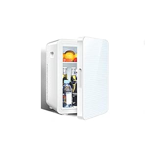 YANJ-Portable-Mini-20L-Fridge-Electric-Cool-Box-Car-refrigeratorCNC-Display-Hot-And-Cold-Dual-Energy-Mute-Design-LOLDF1-Color-A YANJ Portable Mini 20L Fridge Electric Cool Box Car refrigerator,CNC Display Hot And Cold Dual Energy Mute Design LOLDF1 (Color : A)