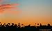 Train Junkies California Sunset- Railroad Backdrop HO Scale