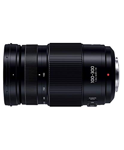 Panasonic Lumix G Vario 100-300mm F4-5.6 II POWER O.I.S.