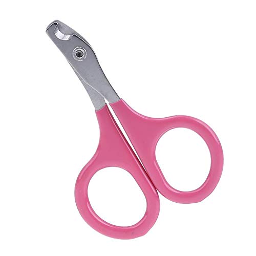 STORE-HOMER - 5pcs/Pack Sharp Blade Pet Nail Scissor Set Stainless Steel Dog Pet Toe Nail Claw Clippers For Pet Trimmers Nail Cutting Tool - Thumbnail 6