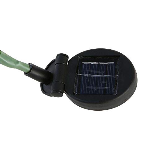 6 Hatop+Hyacinth+Powered+Backyard+Decorations