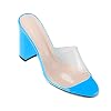 Eldof-Womens-High-Heel-Sandals4-inches-Block-Heel-with-Transparent-PVC-SandalsComfort-Backless-Party-Dress-Slippers-Blue-US-85
