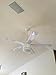 Hampton Bay Merwry 52 In. LED Indoor White Ceiling Fan