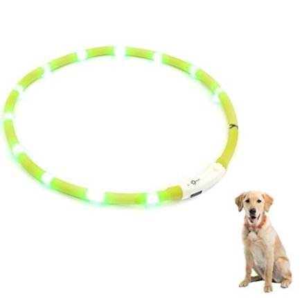 ZOGIN Collar de perro LED, collar de seguridad recargable USB para perro gato y otro animal doméstico, color verde