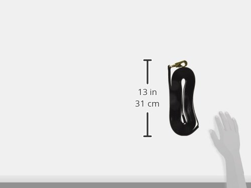 Hamilton Single Thick Nylon Horse Longe Line with Swivel Snap, 1-Inch/26-Feet, Black