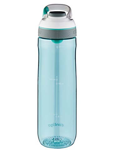 Contigo Cortland Water Bottle, 24-Ounce, Greyed Jade