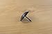 50 Pack Door Clavos Decorative Nails 1.5