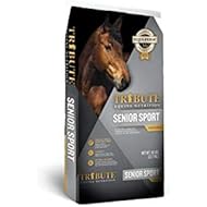 TRIBUTE Senior Sport