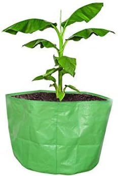 Coir Garden-Terrace Gardening HDPE Grow Bags Bigger Sizes for Banana, Papaya Plants, etc (24"x24" inches)- (2 Feet x 2 Feet) [60cms(L) X 60cms(H)] - Pack of 1