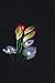 Solar Calla Lily, Solar Lights, Decorative Garden Lights