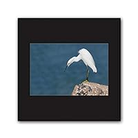Framed Canvas Wall Art A Bird Standing on Canvas Prints Home Artwork Decoration for Living Room,Bedroom - 16x16 inches