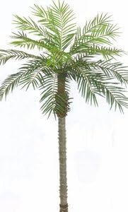 6.5 Foot Artificial Phoenix Palm Tree Plant Palm not Potted