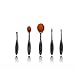 BeautyCoco 5 Pcs Oval Makeup Brush Set Professional Foundation Contour Concealer Blending Cosmetic Brushes with Gift Box (Black)